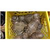 Image 2 : CRATE OF GLASS INSULATORS