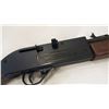 Image 2 : 760 PUMPMASTER PELLET GUN