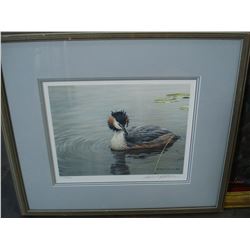 ROBERT BATEMAN GREAT CRESTED GREBE LEP