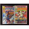 Image 1 : PETER PARKER THE SPECTACULAR SPIDER-MAN #18 AND #9 (MARVEL COMICS)