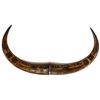 Image 1 : Hand Carved Water Buffalo Horns