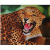 Image 1 : Signed Oil on Canvas Painting, African Leopard