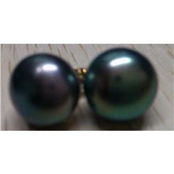 11-12mm Natural Black Tahitian Pearl 14kt Gold Post Earrings