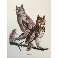 c1950 Audubon Print, Great Horned Owl