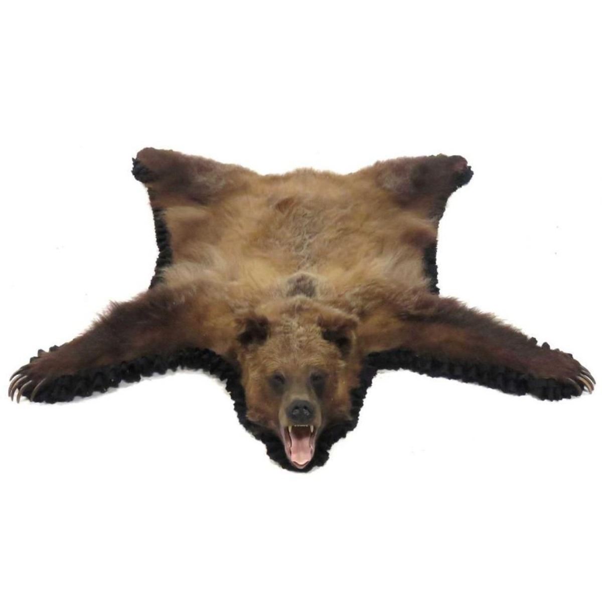 Brown Bear Skin Rug With Head And Claws. 65 X 61"