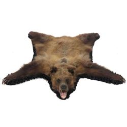 Brown Bear Skin Rug With Head And Claws. 65 X 61"