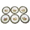 Image 1 : 6pc set Moschendorf Bird Plates