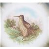 Image 2 : 6pc set Moschendorf Bird Plates