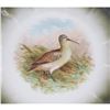 Image 3 : 6pc set Moschendorf Bird Plates