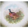 Image 4 : 6pc set Moschendorf Bird Plates
