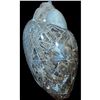 Image 1 : 173 Cts Natural Loose Gemstone173 Cts Natural Fossil Shell Loose Gemstone