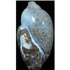 Image 2 : 173 Cts Natural Loose Gemstone173 Cts Natural Fossil Shell Loose Gemstone