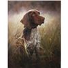 Image 1 : Original Oil on Canvas Hunting Dog Series. signed, Y.O.G. Bianco - Master Artist. Unique, Extraordin