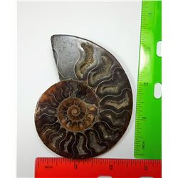 12 - SPLIT AMMONITE FOSSIL SPECIMEN