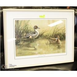 KEN CARLSON SPRING DOMAIN - PINTAILS NUMBERED