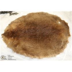 BEAVER PELT STRETCHED AND CURED
