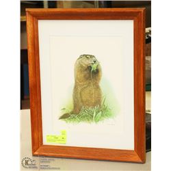 14"X18" BY LOATES FRAMED PRINT OF GROUND HOG