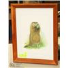 Image 1 : 14"X18" BY LOATES FRAMED PRINT OF GROUND HOG