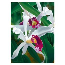 Captivating Cattleya by Davis, Brian