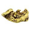 Image 2 : 21.6 Gram Gold Nugget