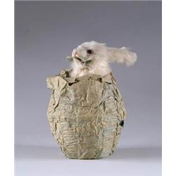 RABBIT IN A CABBAGE PATCH AUTOMATON BY DE CAMP