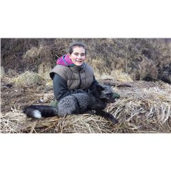 Duck and Small Game Hunt on Kodiak Island