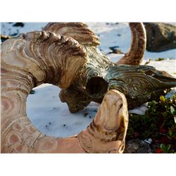 Bronze Dall Sheep Skull