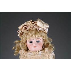 16in. WIRE-EYED Series C STEINER BEBE