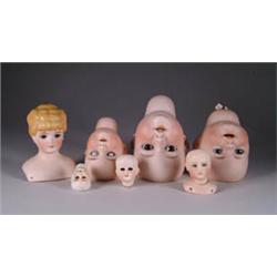 LOT OF 9 DOLL HEADS