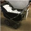 Image 1 : Large "Doll" Carriage