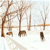 Image 2 : Winter Pasture by Nelson, William