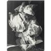 Image 1 : GYORGY KEPES US 1906-2001 Gelatin Silver Print