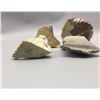 Image 7 : Group of 4 Reptile and Scorpion Fetishes