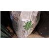 Image 2 : BAG OF PEAT MOSS