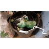 Image 1 : GARDEN DECOR AND GARBAGE CAN