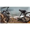 Image 1 : GREY BMX WITH PEGS