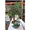 Image 1 : BONSAI ARTIFICIAL TREE