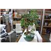 Image 2 : BONSAI ARTIFICIAL TREE