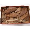 Image 1 : TRAY OF SMALL DRIFTWOOD PIECES