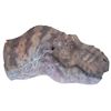 Image 2 : Jurassic Park - T-Rex Paint Test Head