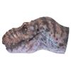 Image 4 : Jurassic Park - T-Rex Paint Test Head