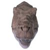 Image 5 : Jurassic Park - T-Rex Paint Test Head