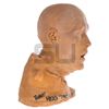 Image 2 : Terminator 2: Judgment Day - T-1000 Pretzel Man Head Mold (Robert Patrick)