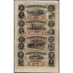 Uncut Sheet of 1857 Western Exchange Fire & Marine Insurance Co. Obsolete Notes