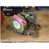Image 1 : 1-Ton Chain Hoist