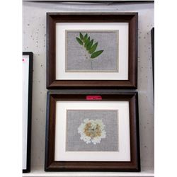 2 Wood Framed Botanical Prints