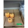 Image 1 : Case of New Glitter Pumpkin Sets