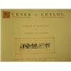 Image 1 : HAMILTON AND FASSON - Scenes in Ceylon (1 vol)...