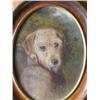 Image 1 : Follower of George Armfield - portrait of a terrier - oil on board, oval, 12cms x 9cms...
