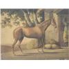 Image 1 : 19th Century English School - race horse outside a stable - watercolour, 24.5cms x 31.5cms...